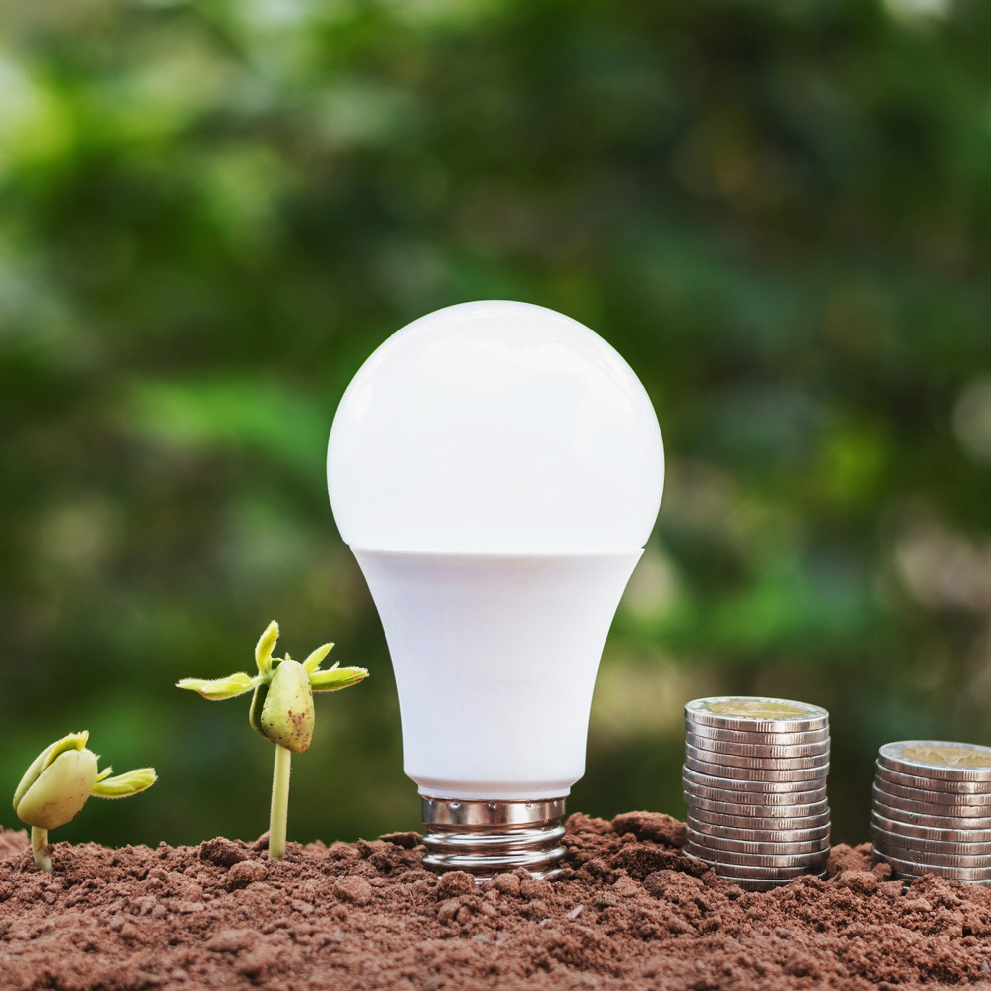 5 Common Lighting Mistakes That Waste Energy (and How to Fix Them)