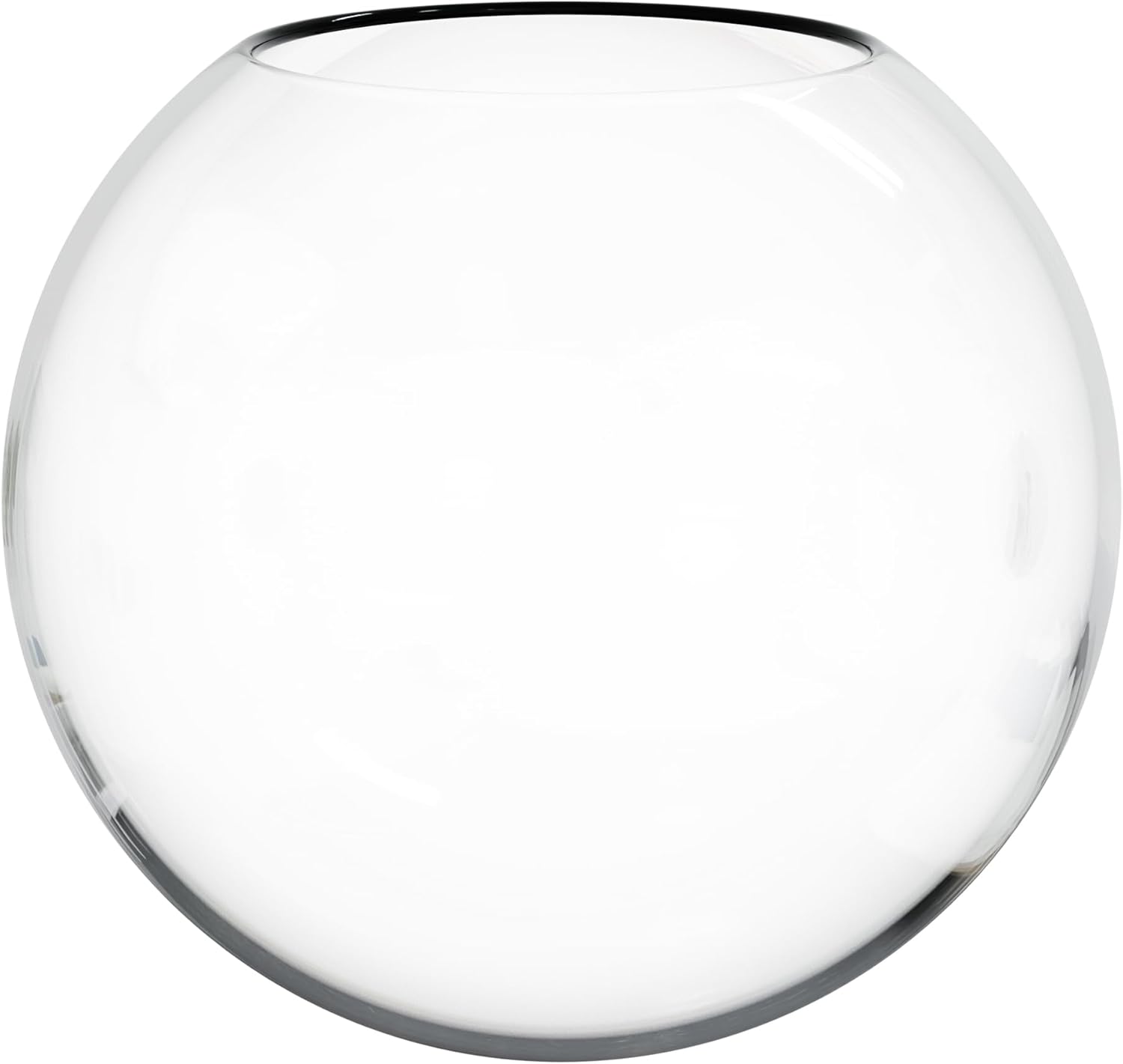 20" Custom Lamp Post Globe