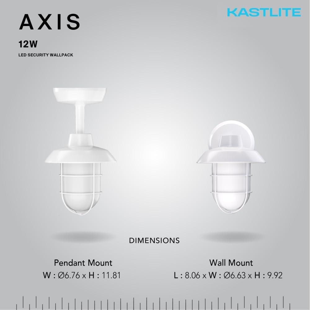 12-Watt Retro Dusk to Dawn LED Wall Mount/Pendant Porch Light