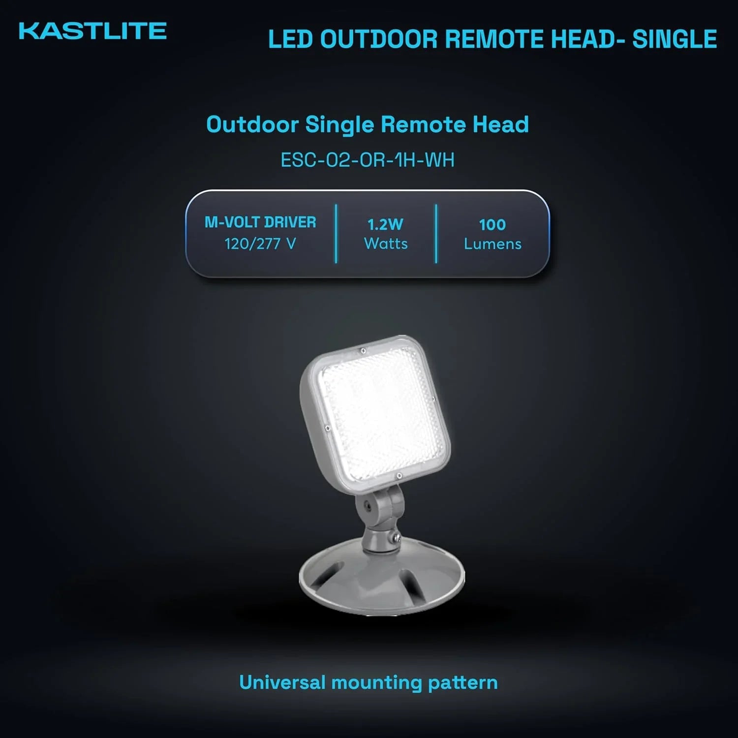 1.2-Watt Outdoor Adjustable Single Head Integrated LED White Emergency Remote Head