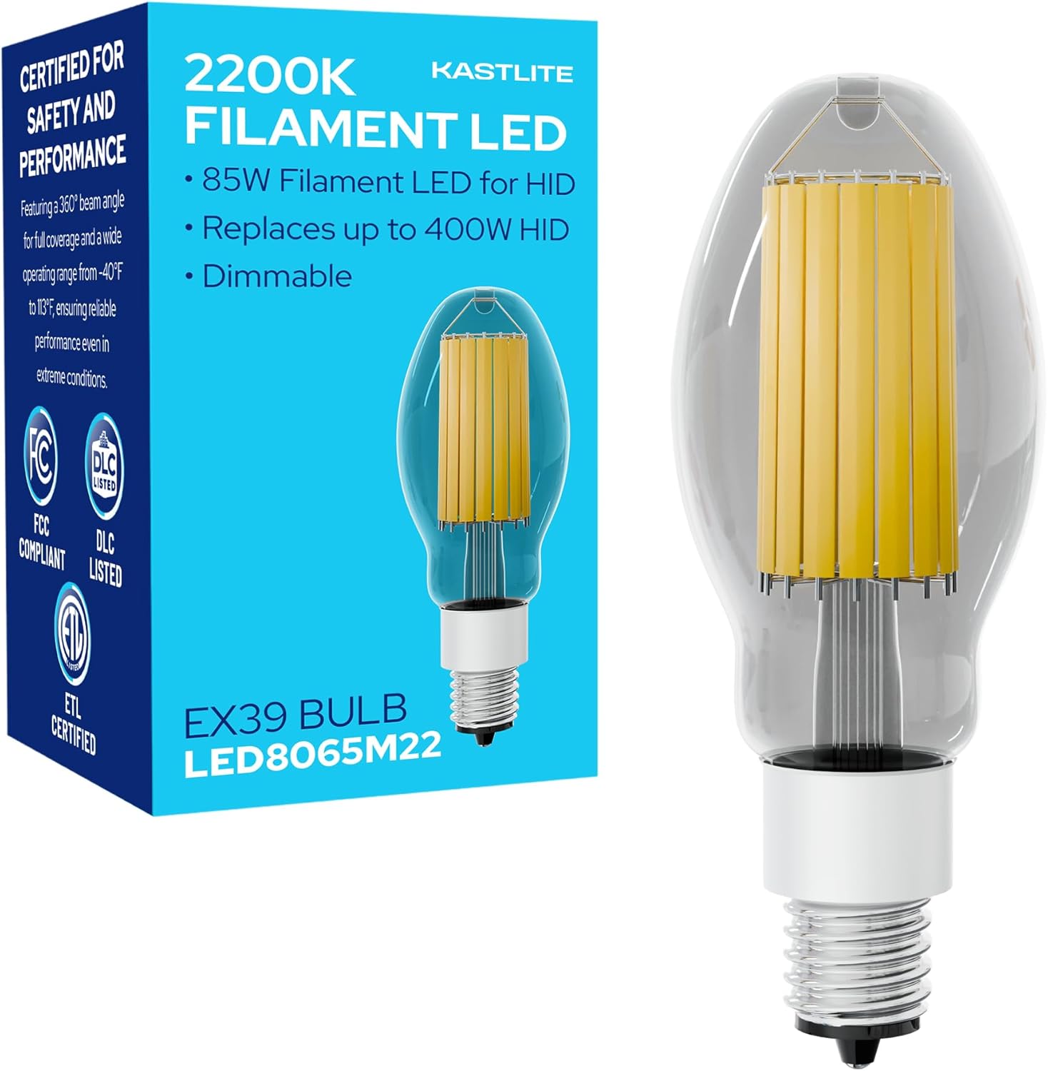 LED-8065M22 Vintage Filament Style LED Edison Bulb Retrofit