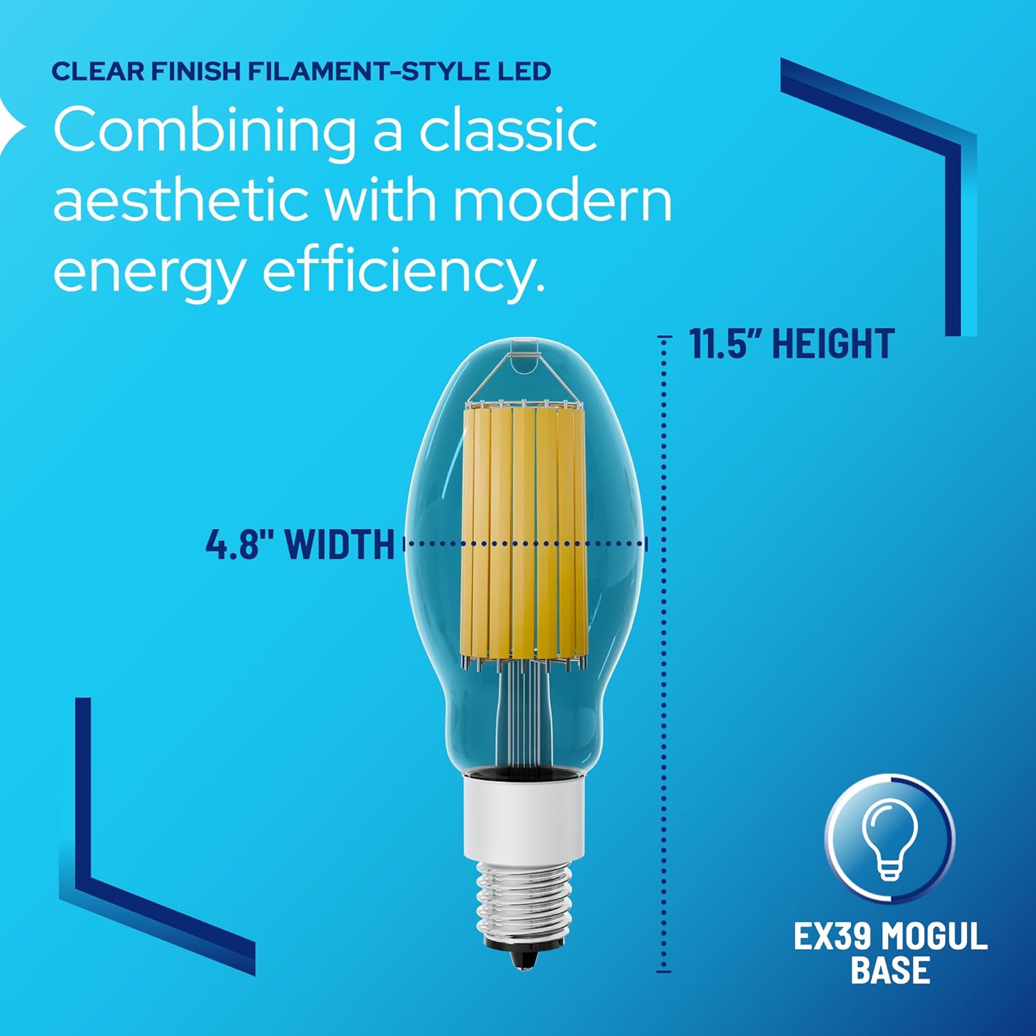LED-8065M22 Vintage Filament Style LED Edison Bulb Retrofit