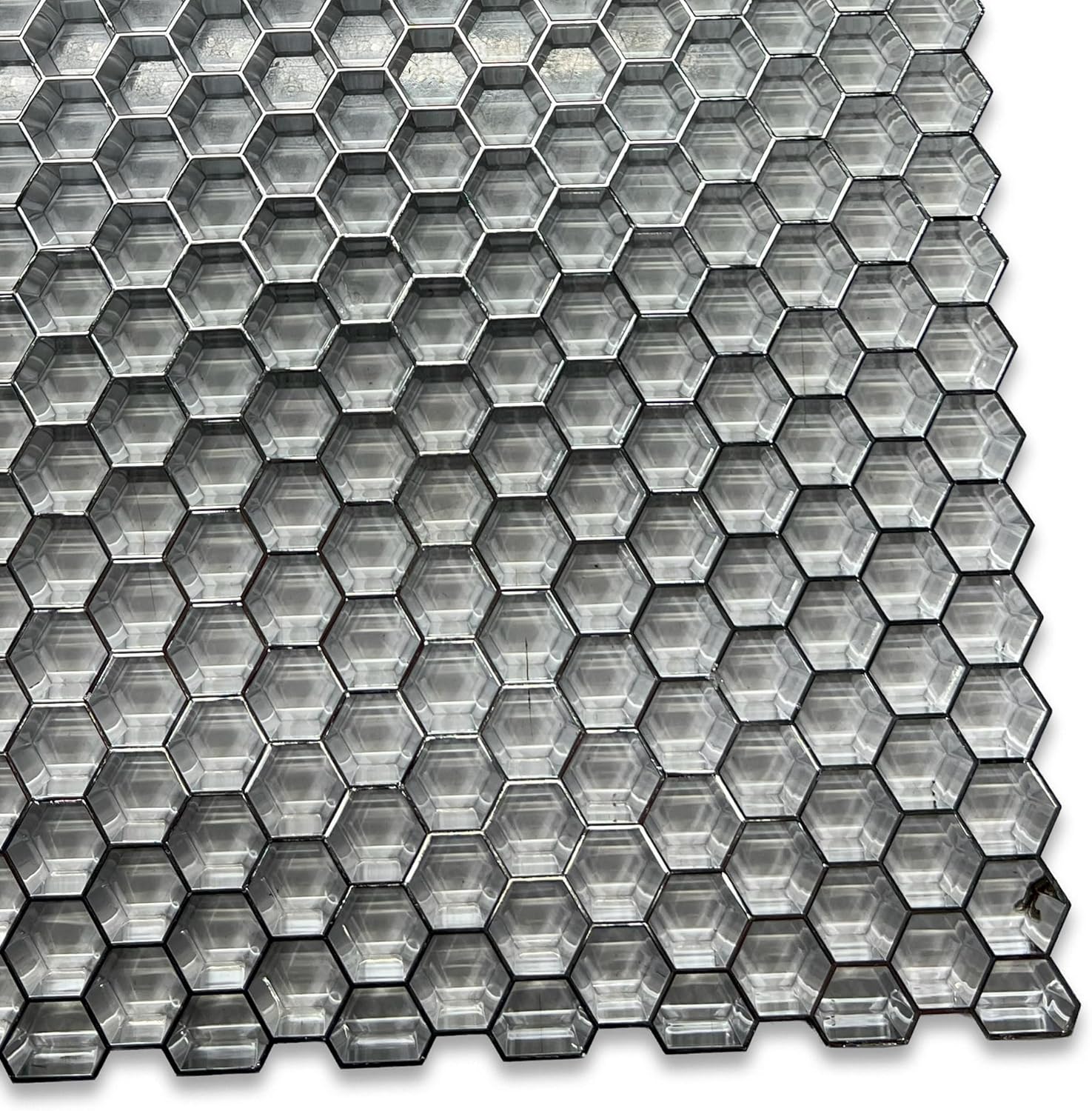 KastLite Para-Lite 6