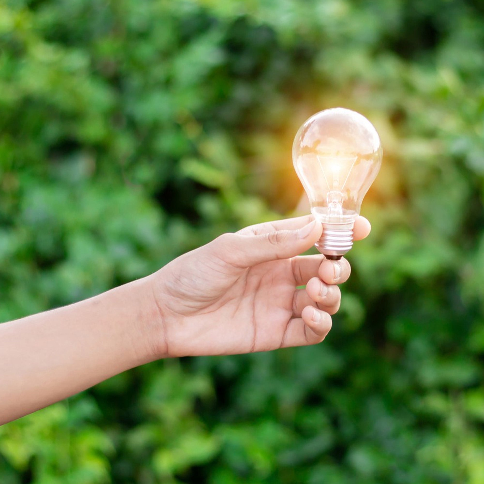 Eco-Friendly Lighting Materials: What’s New Beyond Recycled Plastics