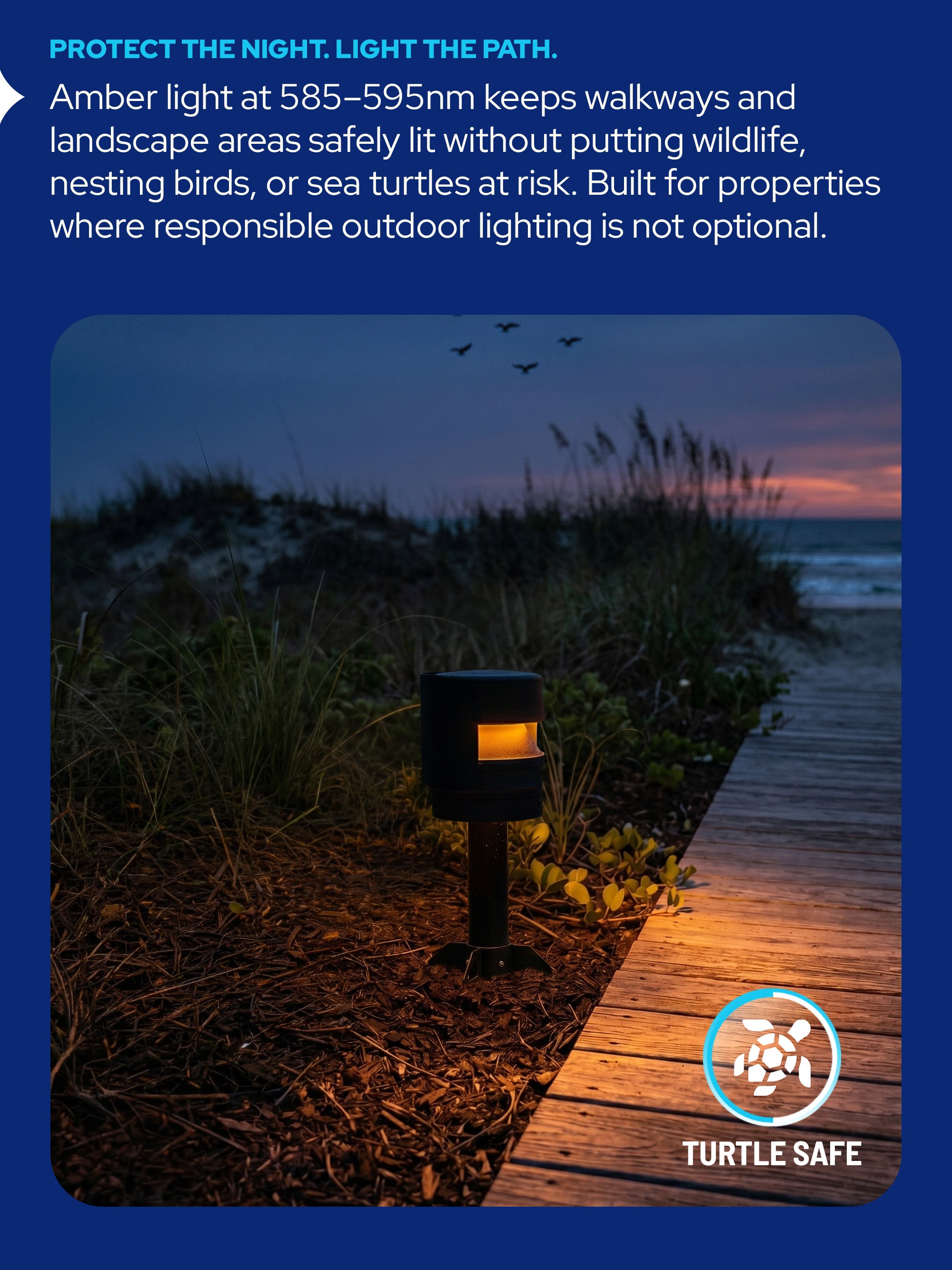 AmberLED Path Light