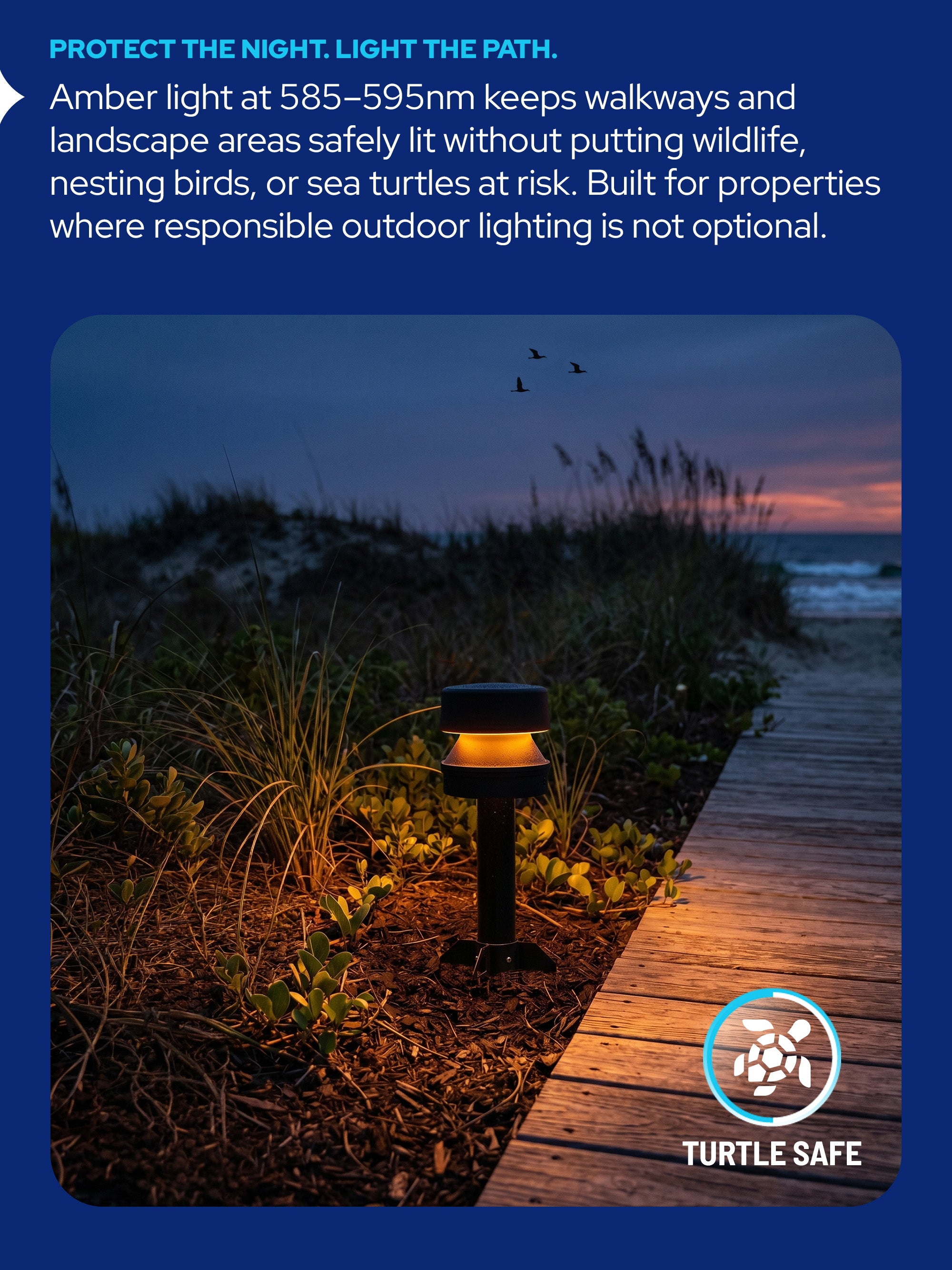 AmberLED Path Light
