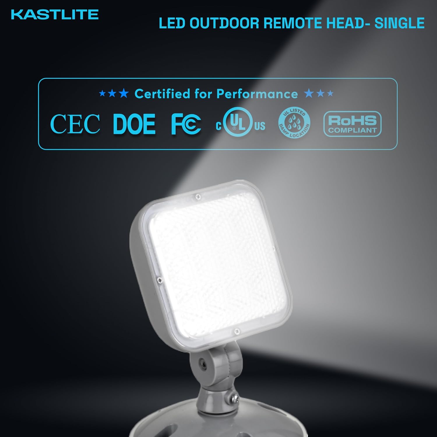 KastLite 1.2-Watt Outdoor Adjustable Single Head Integrated LED White Emergency Remote Head