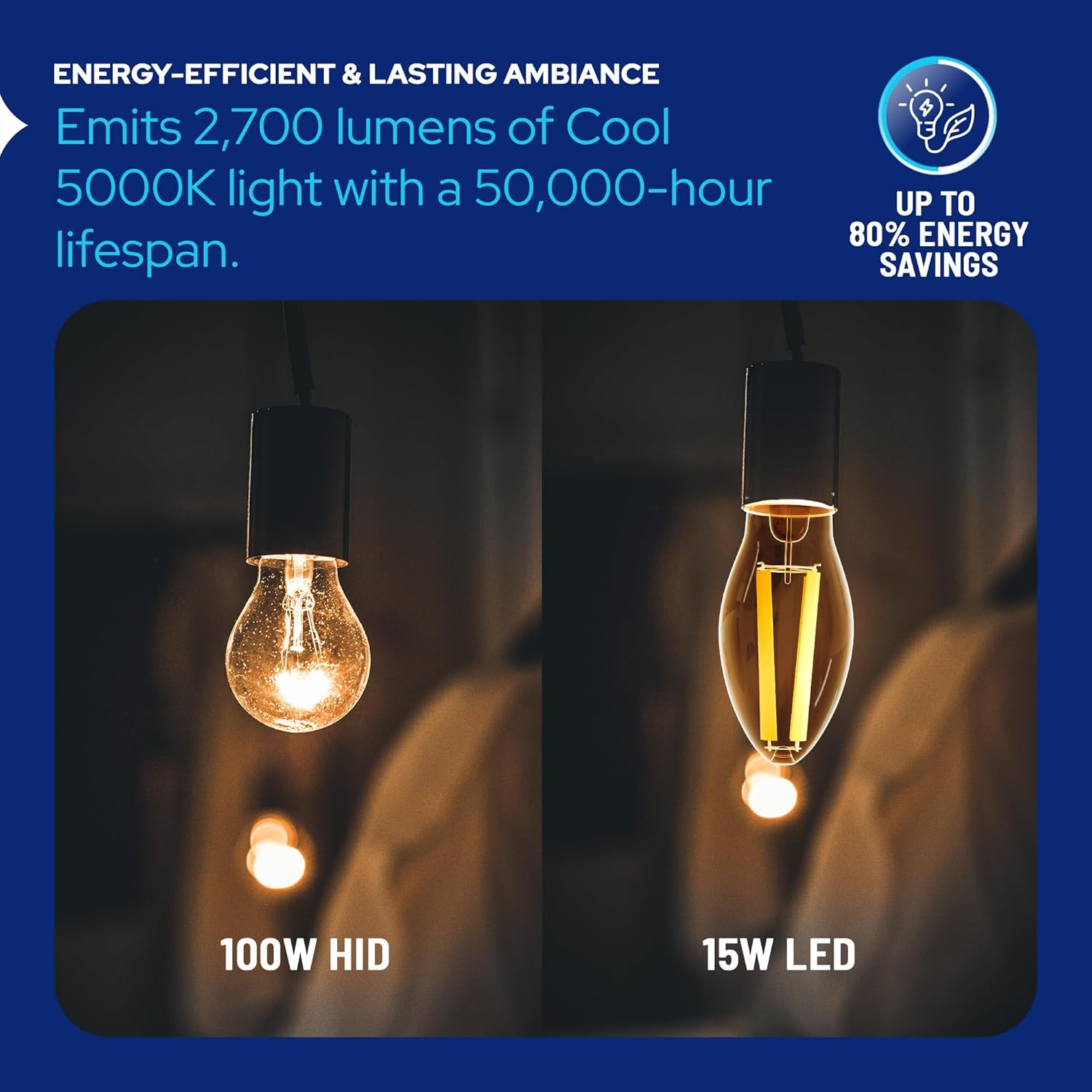 LED-8060E50 Vintage Filament Style LED Edison Bulb Retrofit
