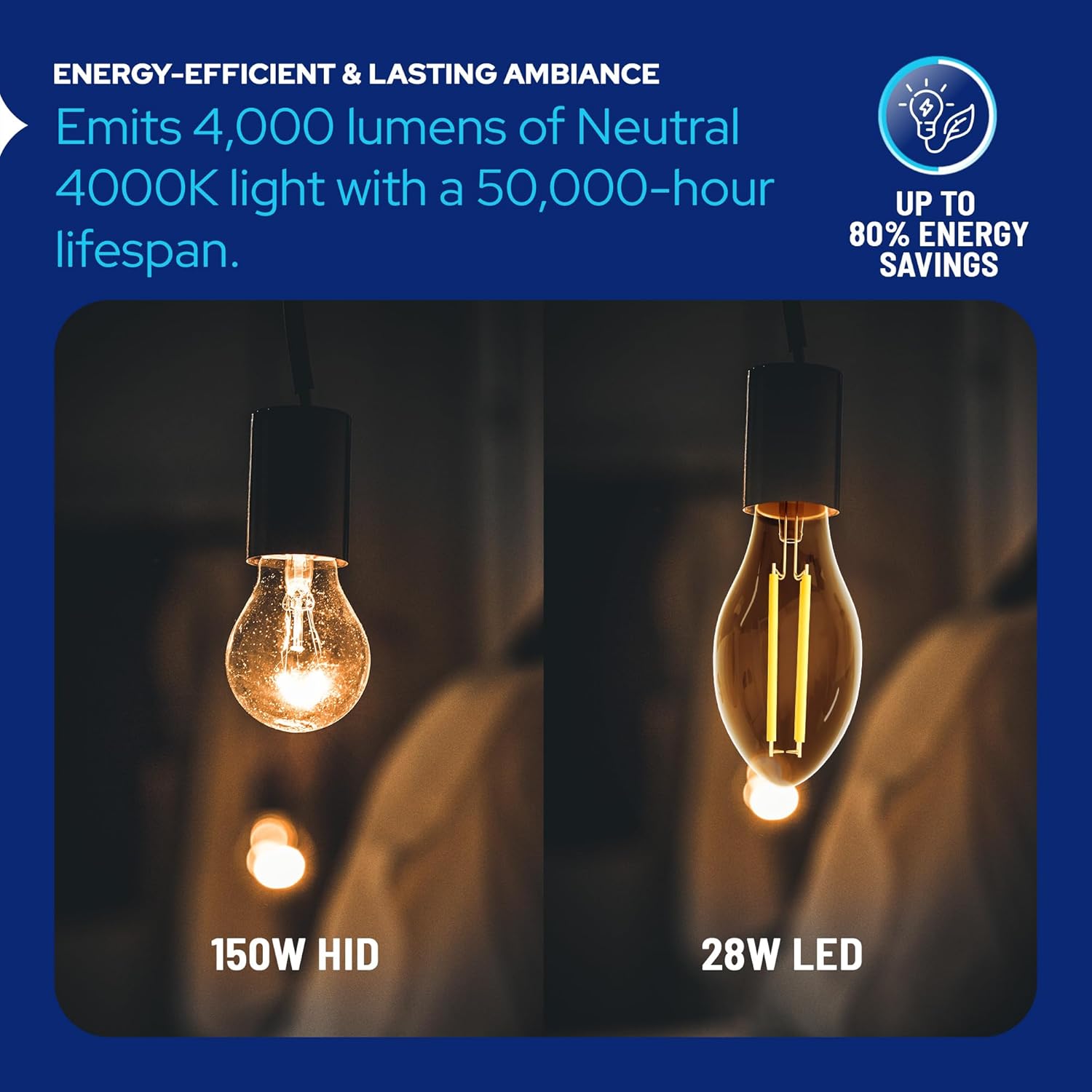 LED-8061E40 Vintage Filament Style LED Edison Bulb Retrofit