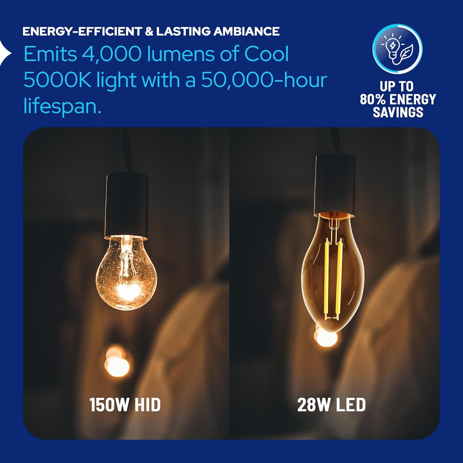 LED-8061E50 Vintage Filament Style LED Edison Bulb Retrofit