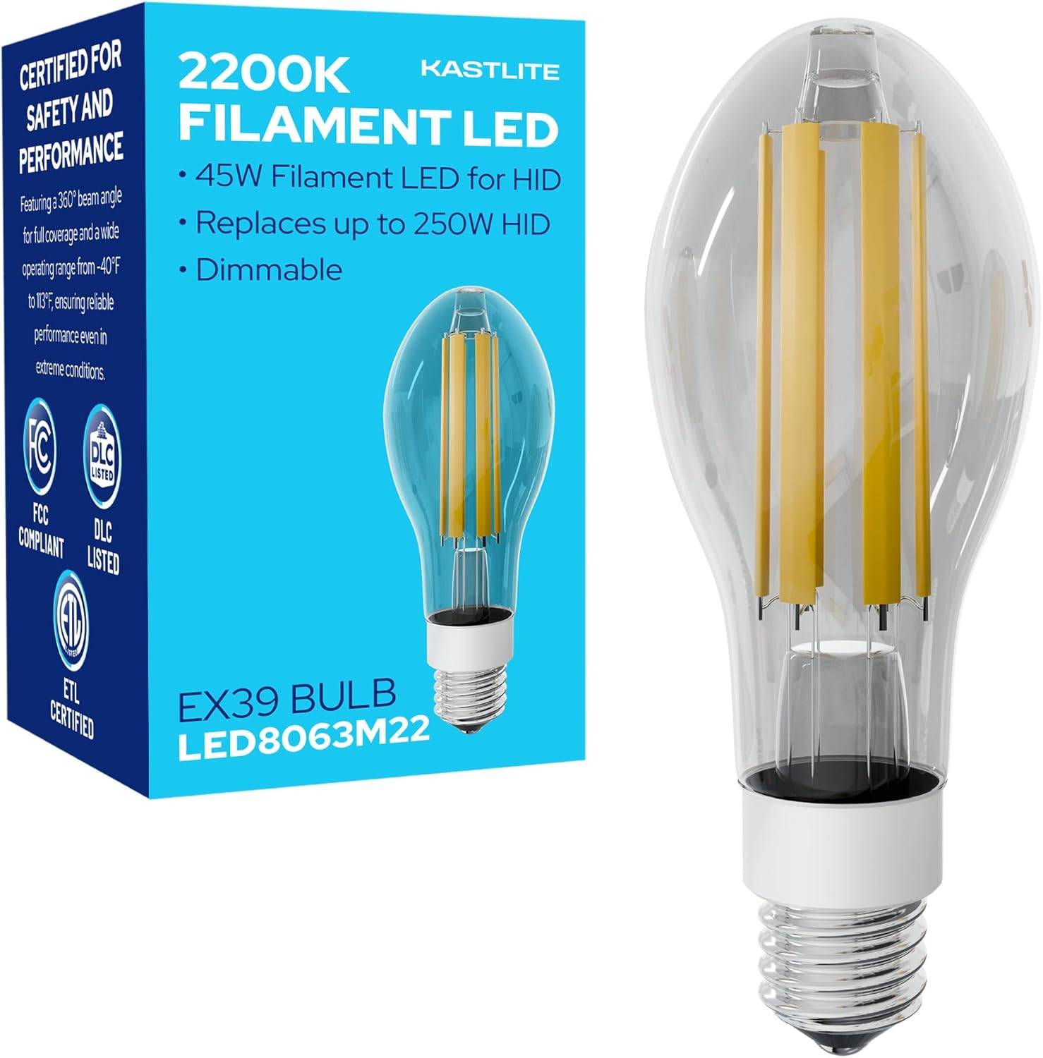 LED-8063M22 Vintage Filament Style LED Edison Bulb Retrofit