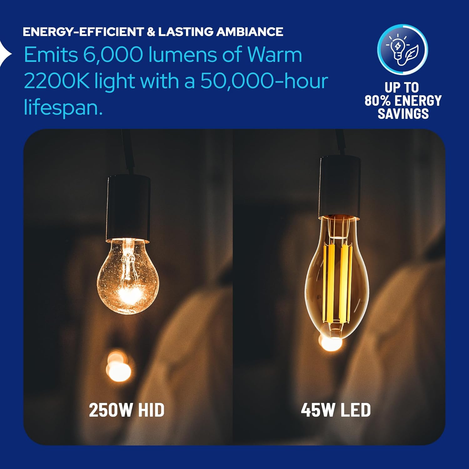 LED-8063M22 Vintage Filament Style LED Edison Bulb Retrofit