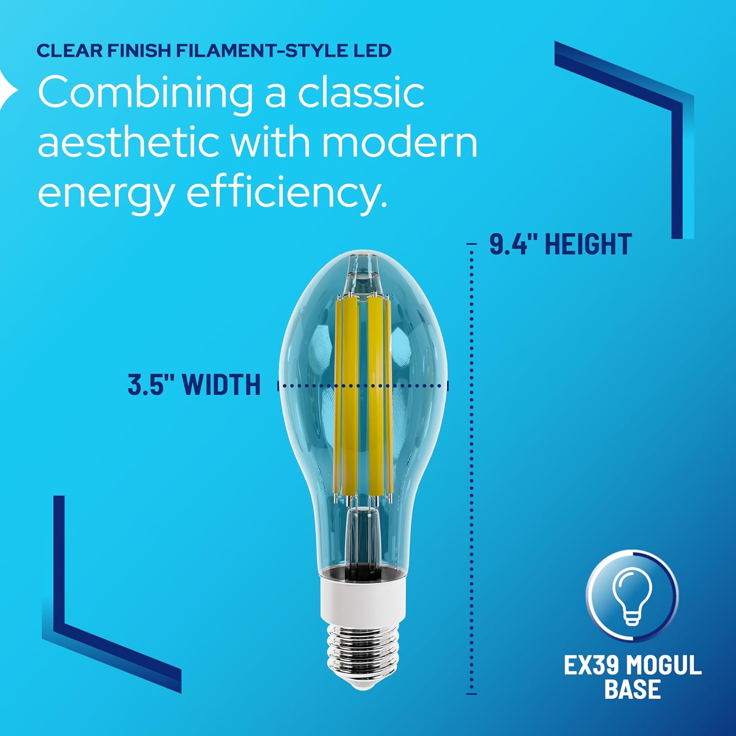 LED-8063M40 Vintage Filament Style LED Edison Bulb Retrofit