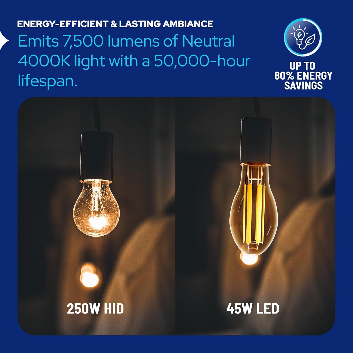 LED-8063M40 Vintage Filament Style LED Edison Bulb Retrofit