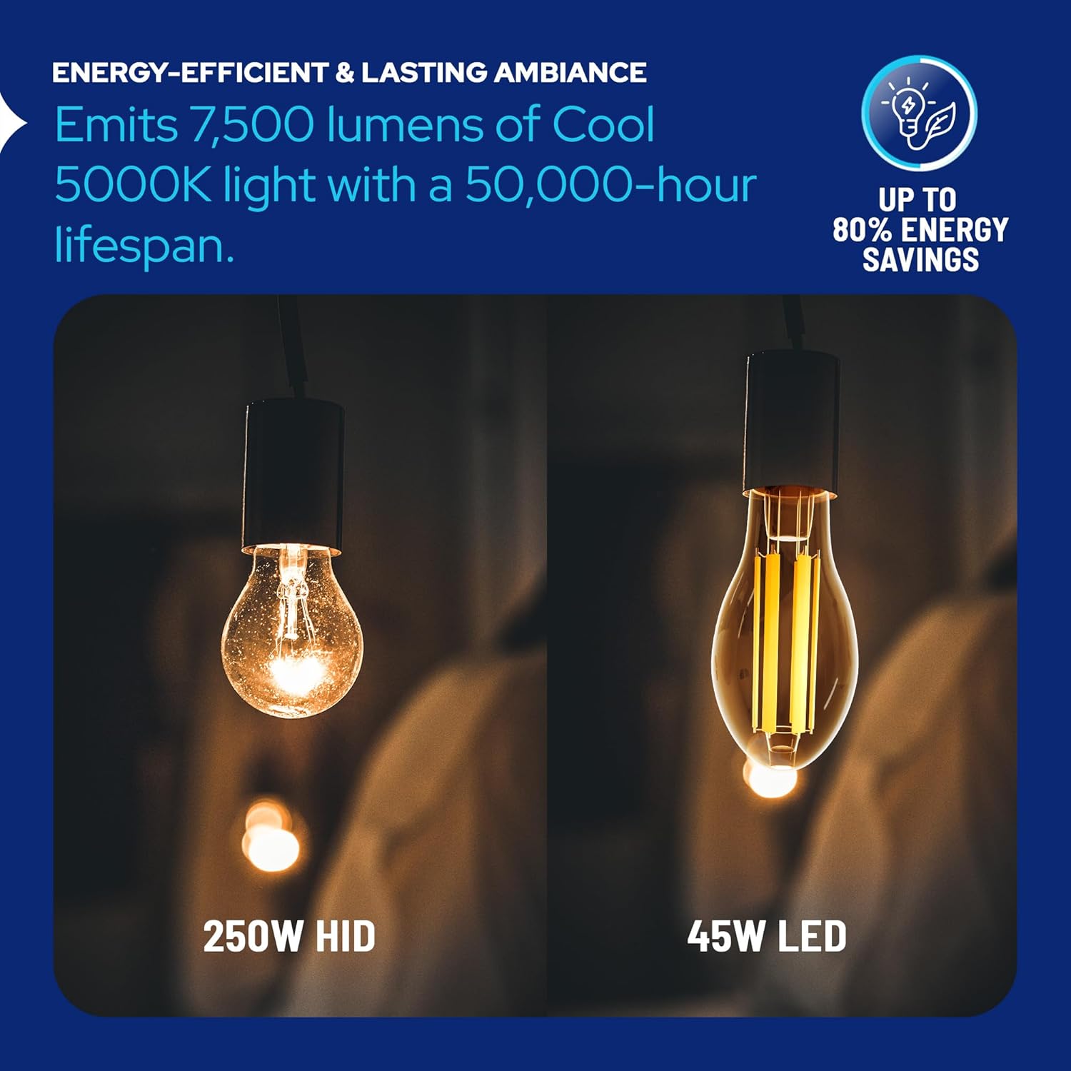 LED-8063M50 Vintage Filament Style LED Edison Bulb Retrofit