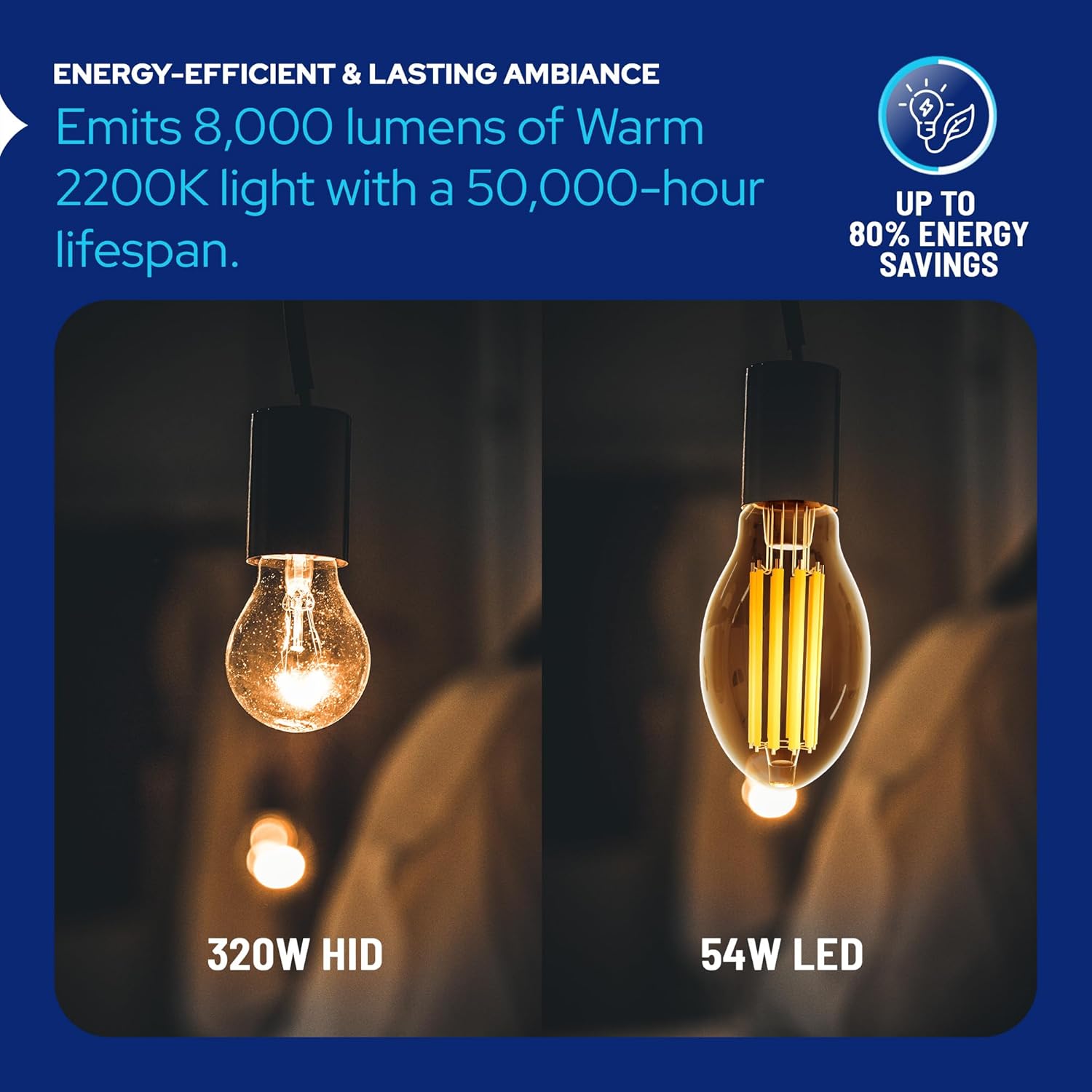 LED-8064M22 Vintage Filament Style LED Edison Bulb Retrofit