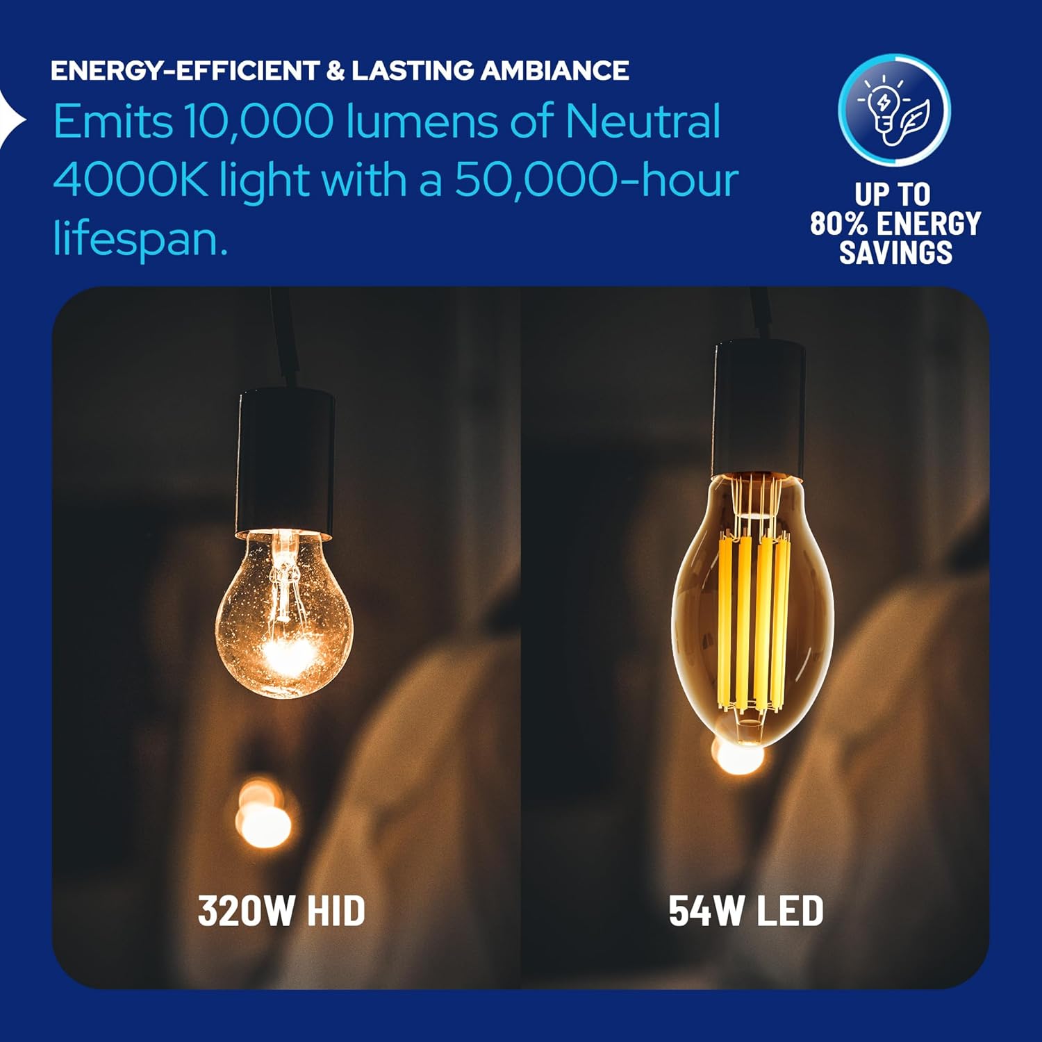 LED-8064M40 Vintage Filament Style LED Edison Bulb Retrofit