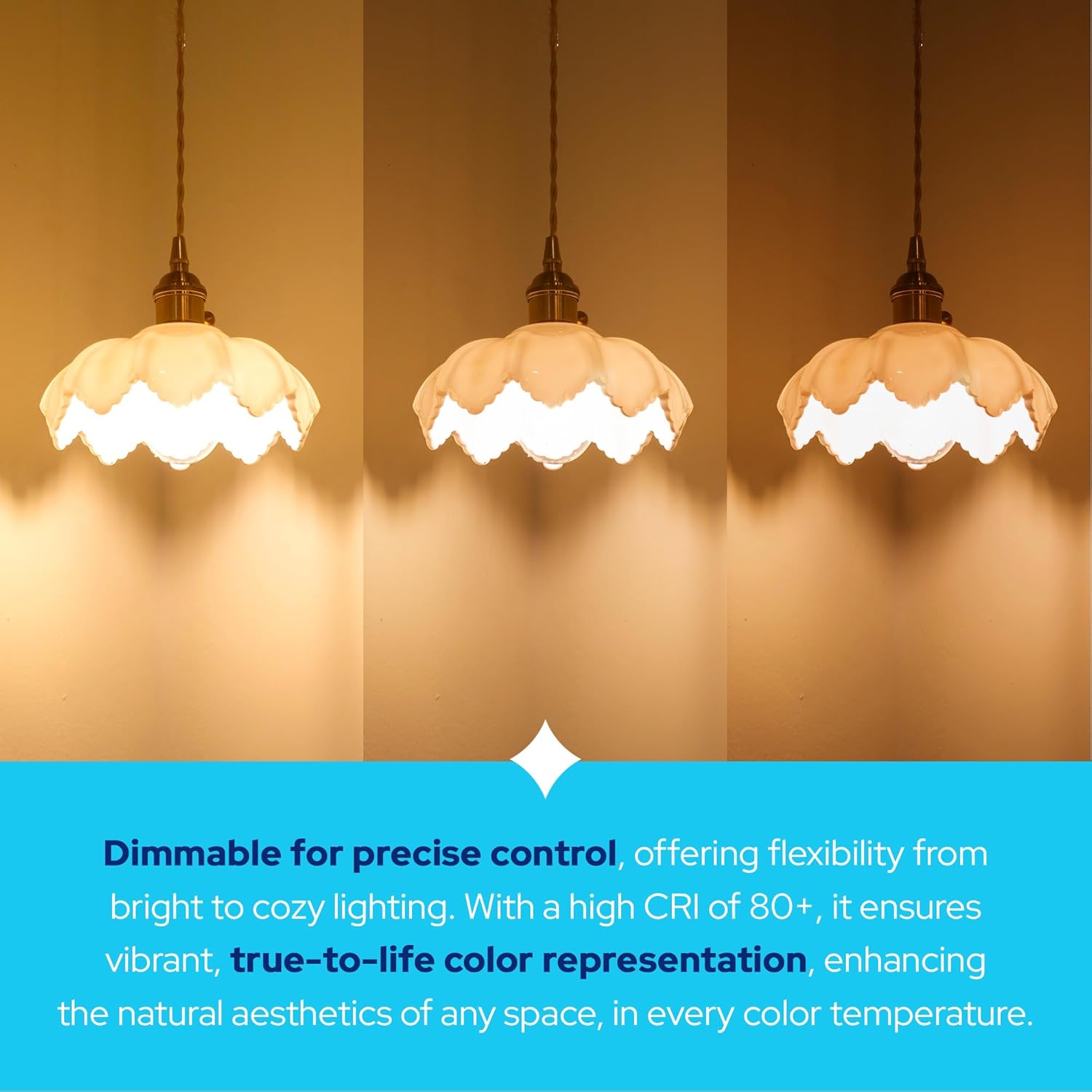 KastLite Vintage Filament Style LED Edison Bulb Retrofit