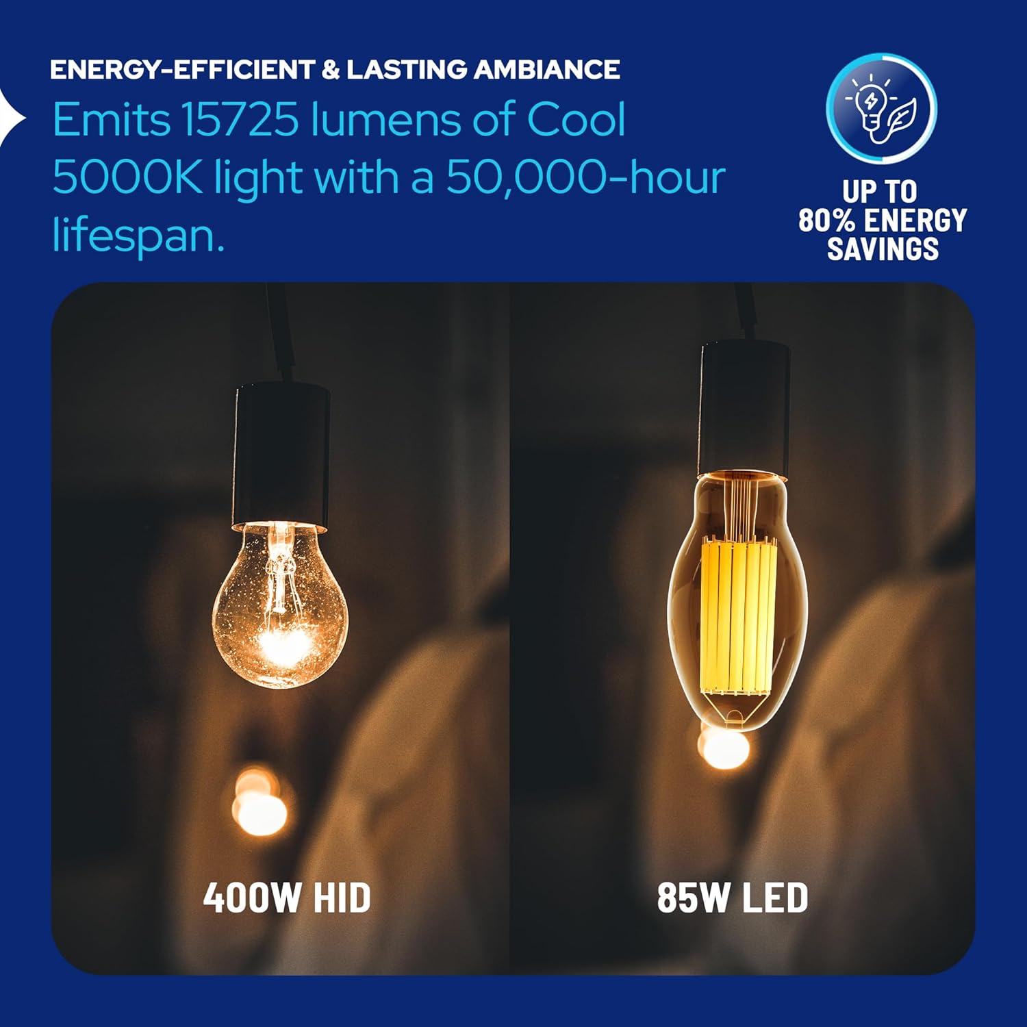 LED-8065M50 Vintage Filament Style LED Edison Bulb Retrofit