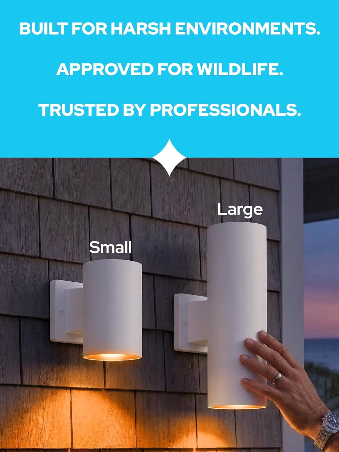 Polycarbonate Turtle Light Wall Sconce