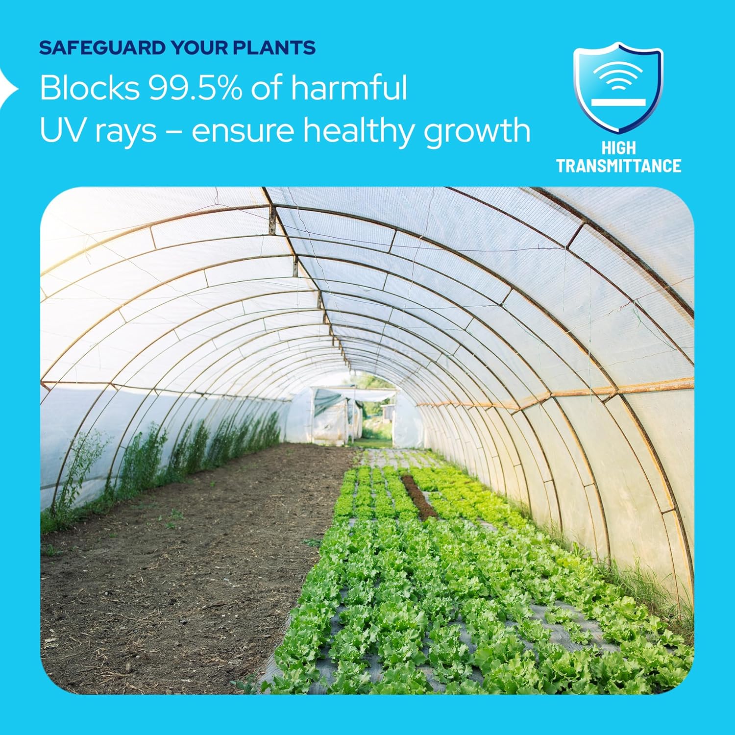 KastLite Polycarbonate Greenhouse Panels | 8mm Twin Wall Polycarbonate Roof Panels | 0.31" Clear