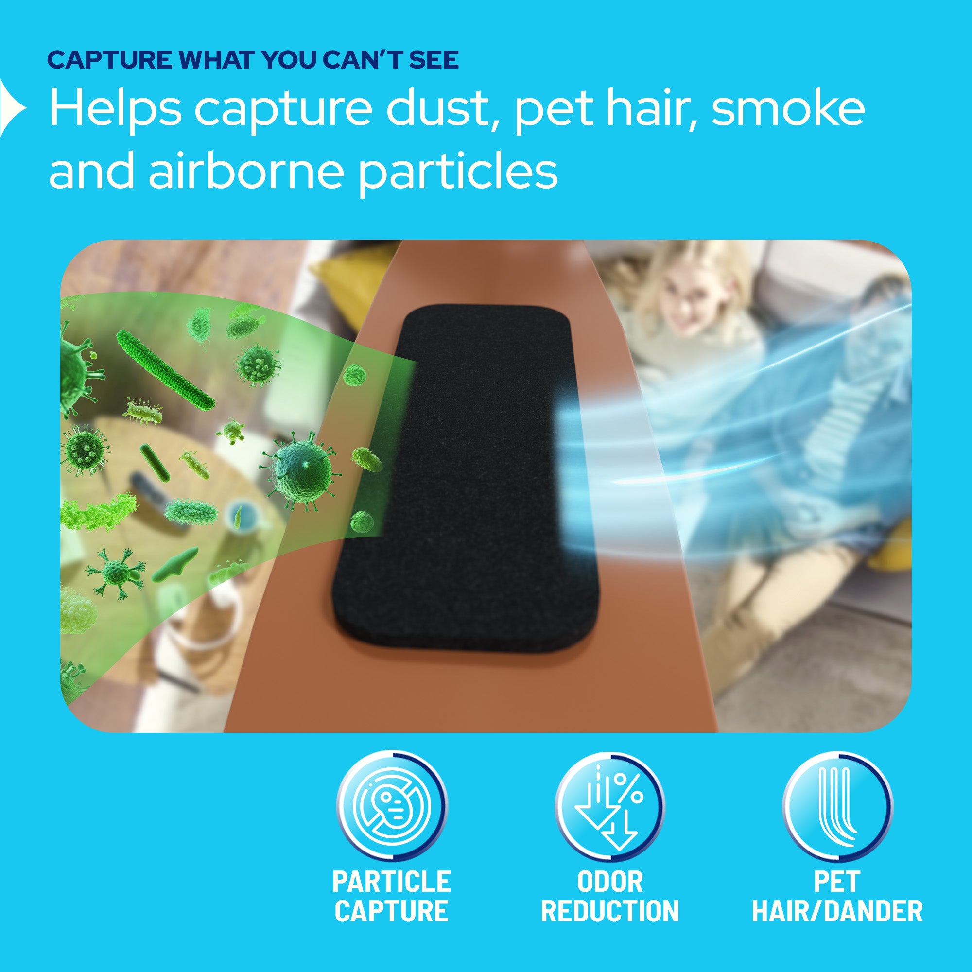 Ceiling Fan Filters for Blades