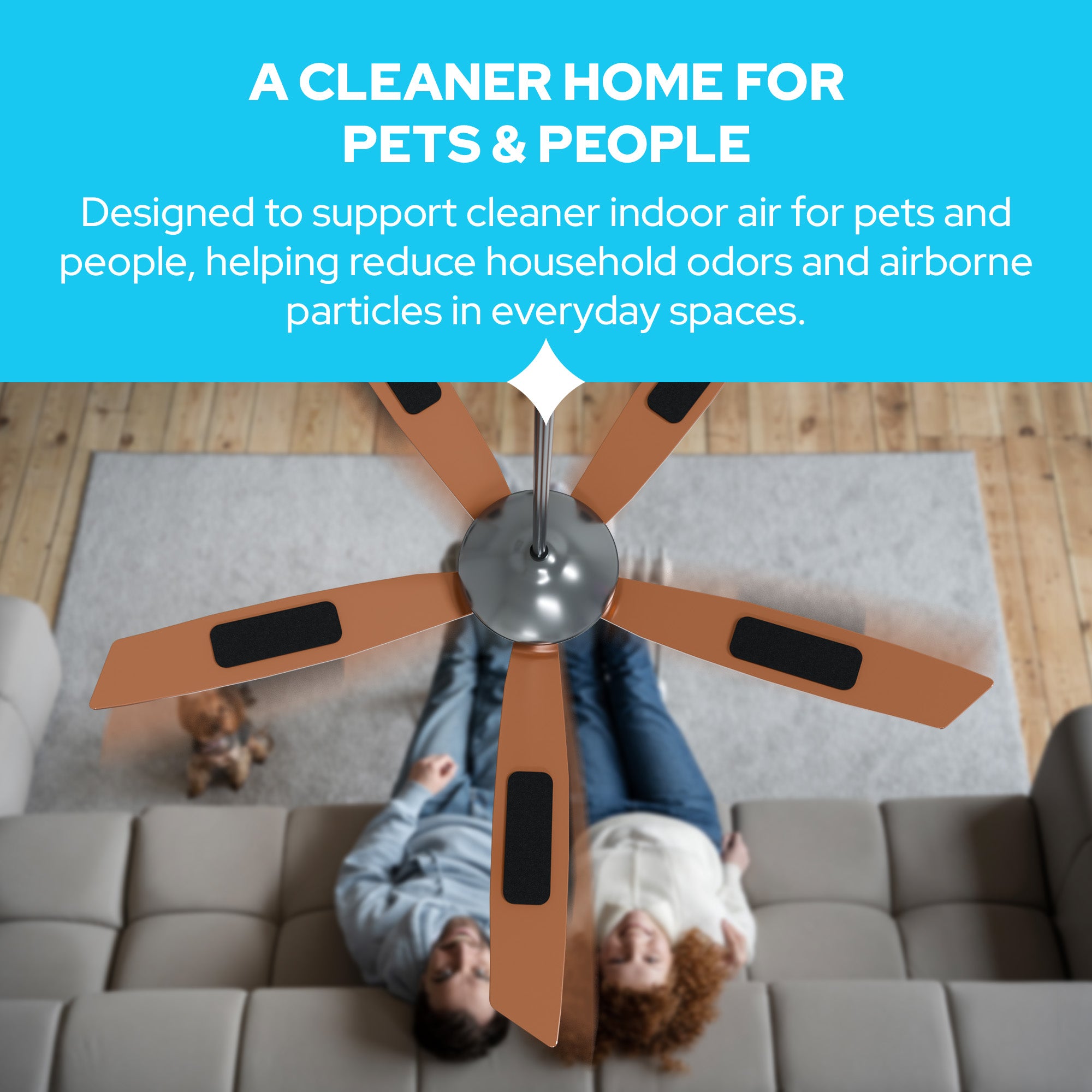 Ceiling Fan Filters for Blades