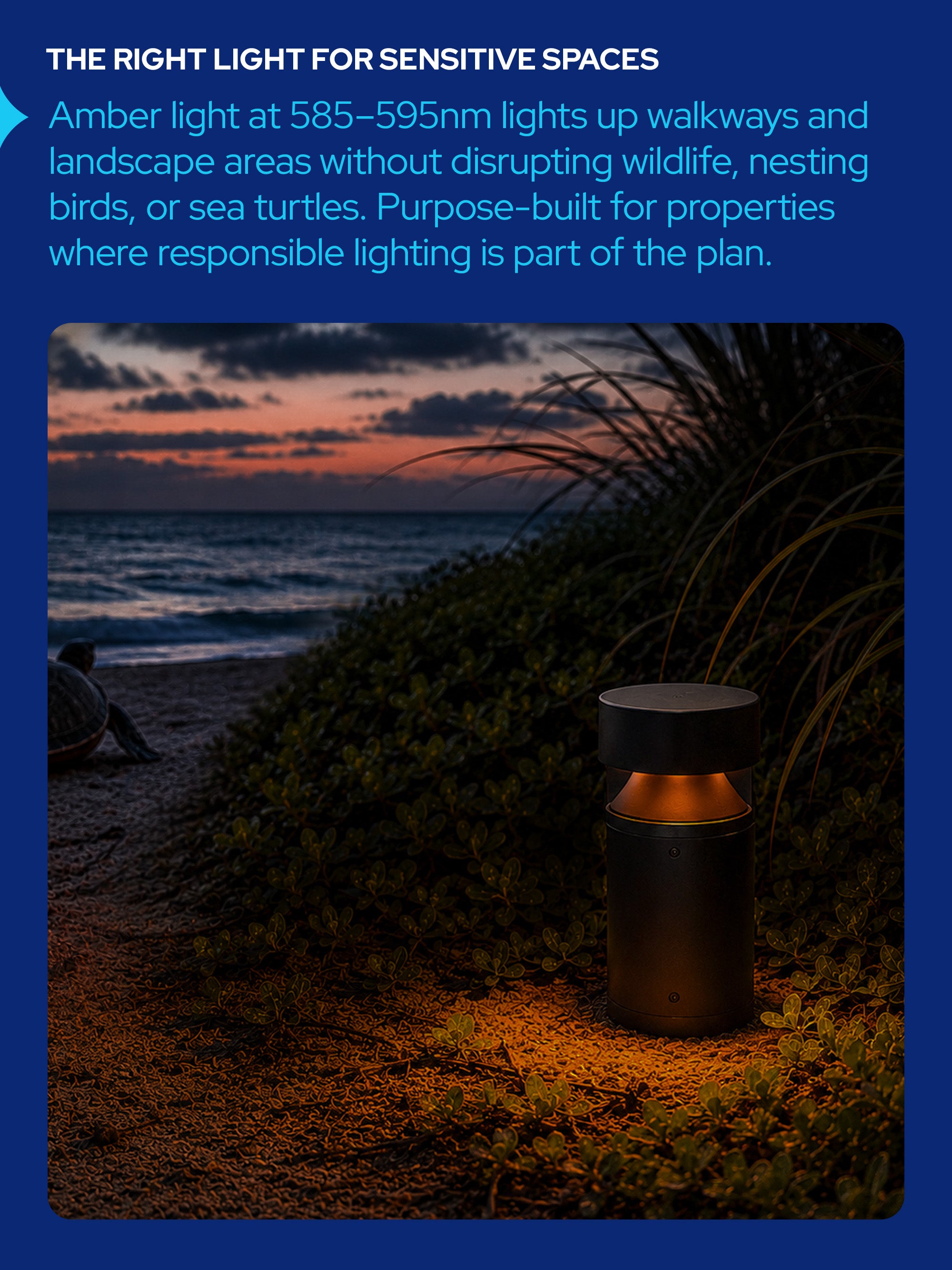 AmberLED Low Profile Pathway Bollard